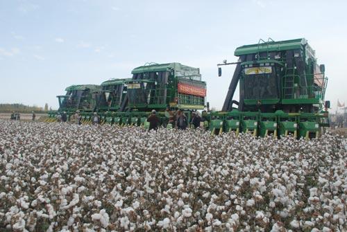 推进果菜茶机械化生产 湖南15个县市区启动田土宜机化改造