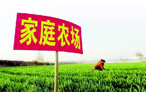 湖南启动家庭农场培育计划 到2022年底培育家庭农场10万家