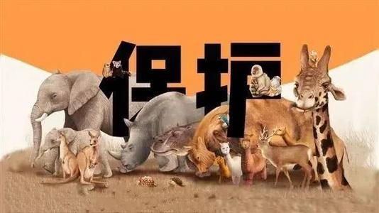 全面禁止非法野生动物交易，湖南省出台这些意见