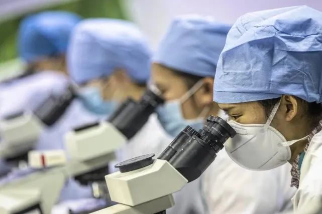 中国和西方国家谁的试剂盒更好？荷兰官方说实话了