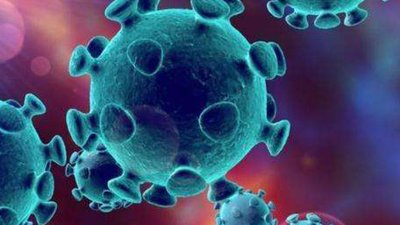 最新研究：新冠病毒或早已广泛存在于人群中