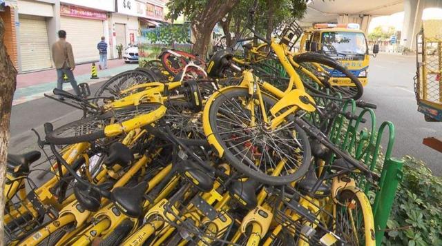 北京市交委立案调查ofo小黄车