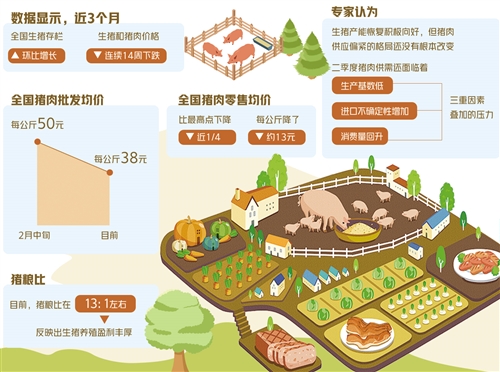 多重因素推动猪价回落 专家：肉价连降后市难再大