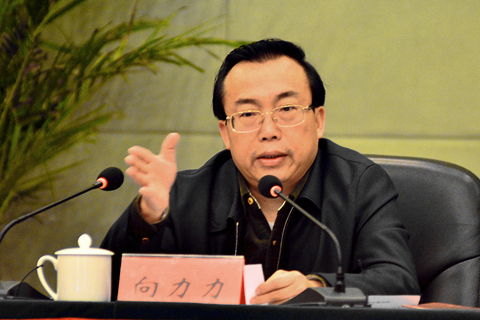 湖南省人大常委会原副主任向力力一审被判十五年
