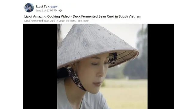 李子柒视频被剽窃 外国人还以为她是越南人&hellip;