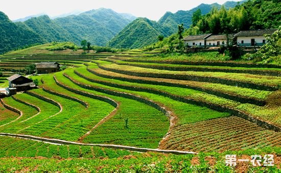 湖南建立耕地保护监管系统，加强动态监测