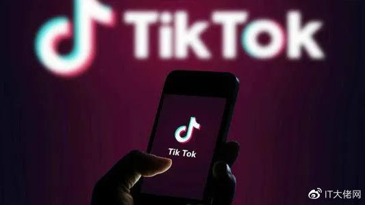 美媒警告：封杀TikTok会威胁特朗普连任前景