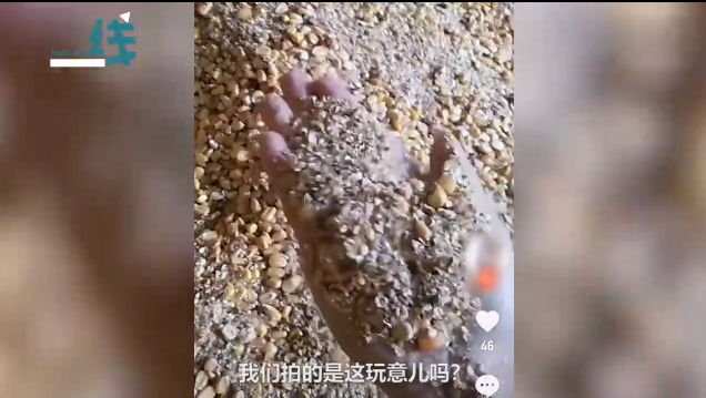 国家储备粮有质量问题？中储粮集团紧急回应