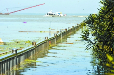 未来3天洞庭湖区各水文站将平缓上涨 警惕湖区鼠害