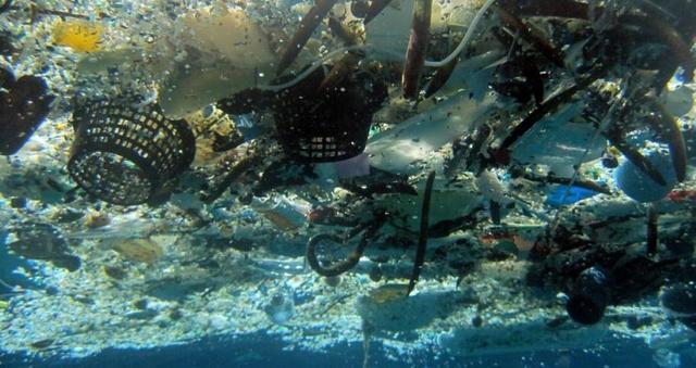 研究预测：20年后全球每米海岸线将有50公斤塑料垃圾