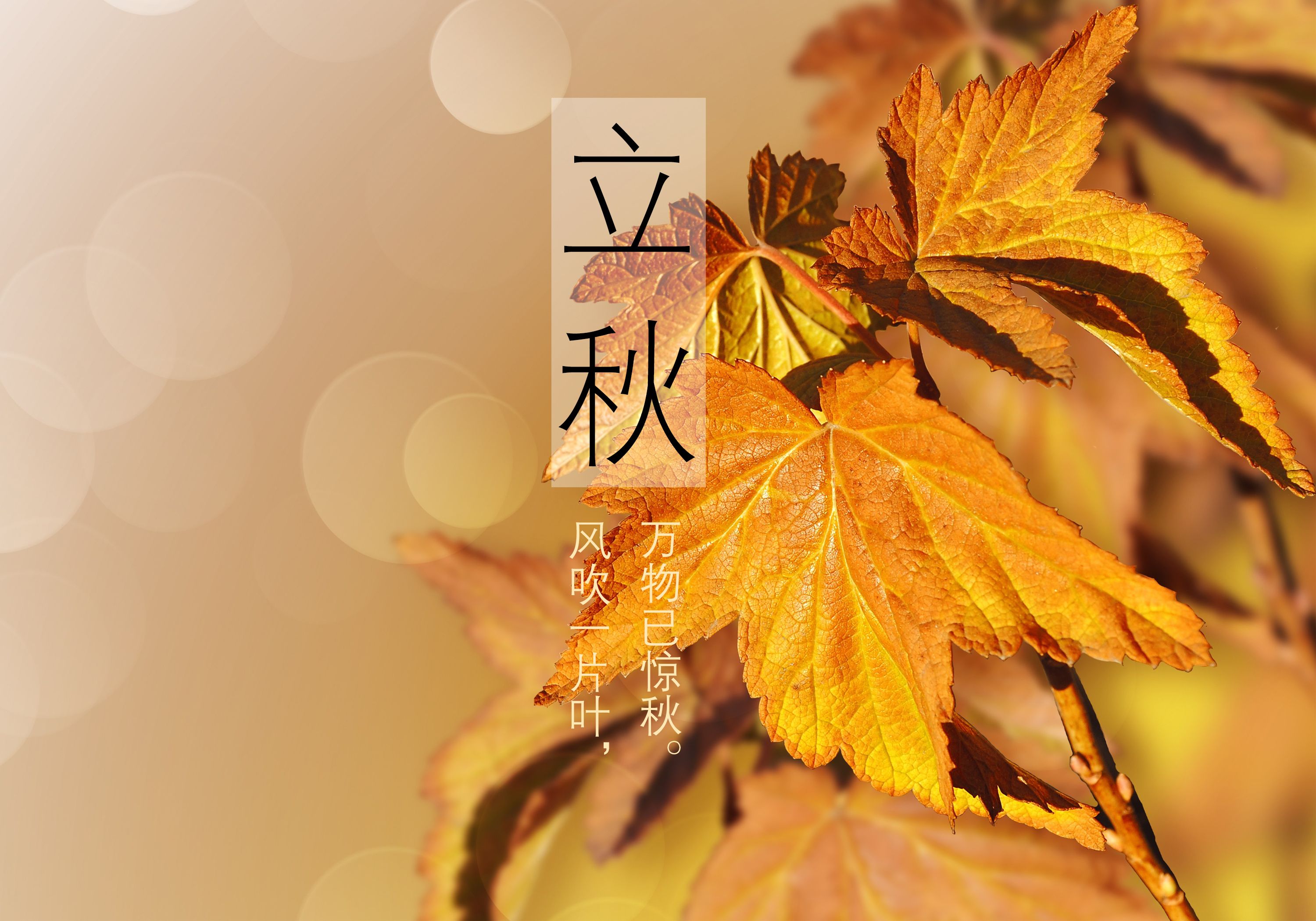 立秋后长沙天气会凉快点吗? 专家表示，立秋时节湖南仍处盛夏