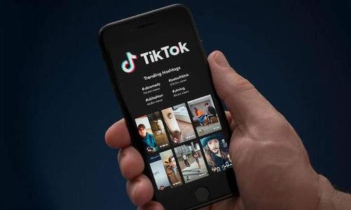 7月抖音及TikTok位列全球非游戏移动应用下载榜冠军