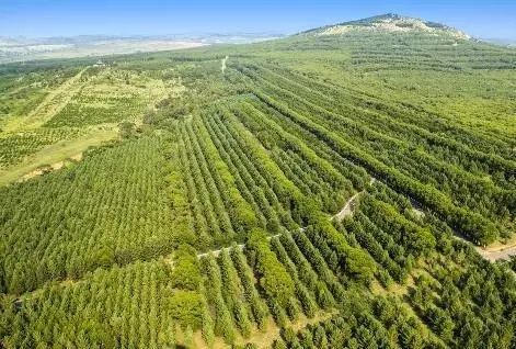 湖南退耕还林还湿3.85万亩 年净化污水能力达9.7亿立方米