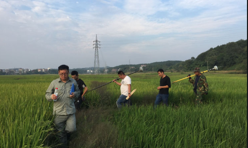 雅江特高压&ldquo;冲刺&rdquo;全线贯通 湖南电网供电能力将提高800万千瓦以上
