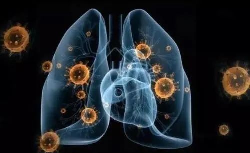 研究人员：特定紫外线可灭活新冠病毒