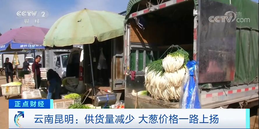疯狂！短短几天大葱价格涨两倍！&ldquo;葱&rdquo;忙涨价为哪般