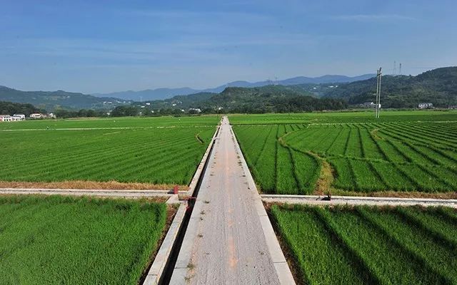 湖南今年将建设高标准农田390万亩