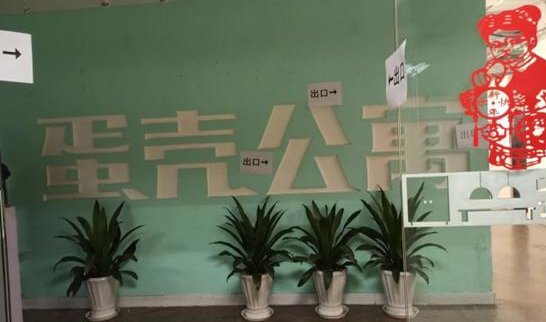北京市住建委：已针对蛋壳公寓成立专办小组