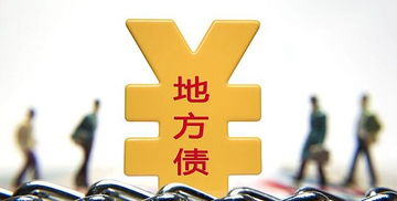专家预计明年新增地方债规模 将达3万亿元至3.5万亿元