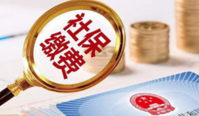 湖南社会保险费延缴政策年底到期