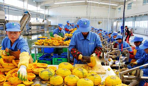农业农村部：2035年农产品加工环节损失率降到3%以下