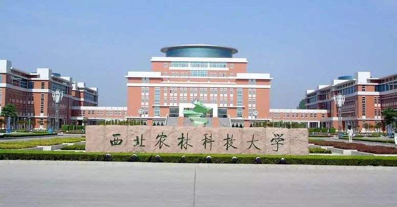 多所双一流高校公布毕业生平均薪酬：西北农林月收入六千五