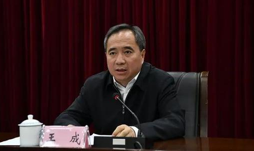 王成跨省履新，任湖南省委常委、组织部部长
