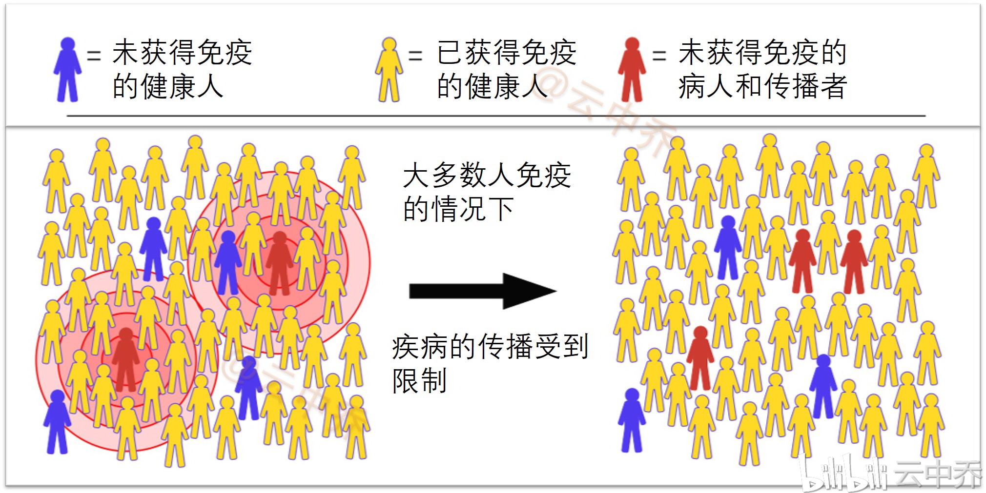 疫苗专家邵一鸣：中国八成人接种疫苗才能＂群体免疫＂