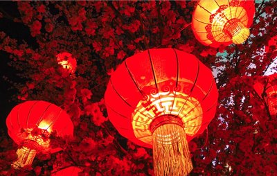 中国春节消费拉动多国对华出口 释放&ldquo;春节经济&rdquo;红利