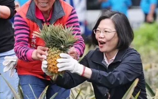 大陆暂停进口台湾菠萝 蔡英文放&ldquo;大招&rdquo;！