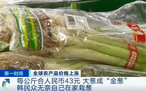 国际粮价暴涨，会影响中国人的&ldquo;饭碗&rdquo;吗？