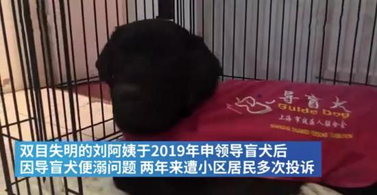 中国留学生研发机器导盲犬,可实现批量生产,价格有望低于一万美元