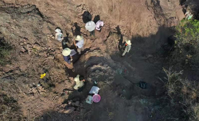 重大发现！云南出土3岁恐龙化石 不属任何已知属种