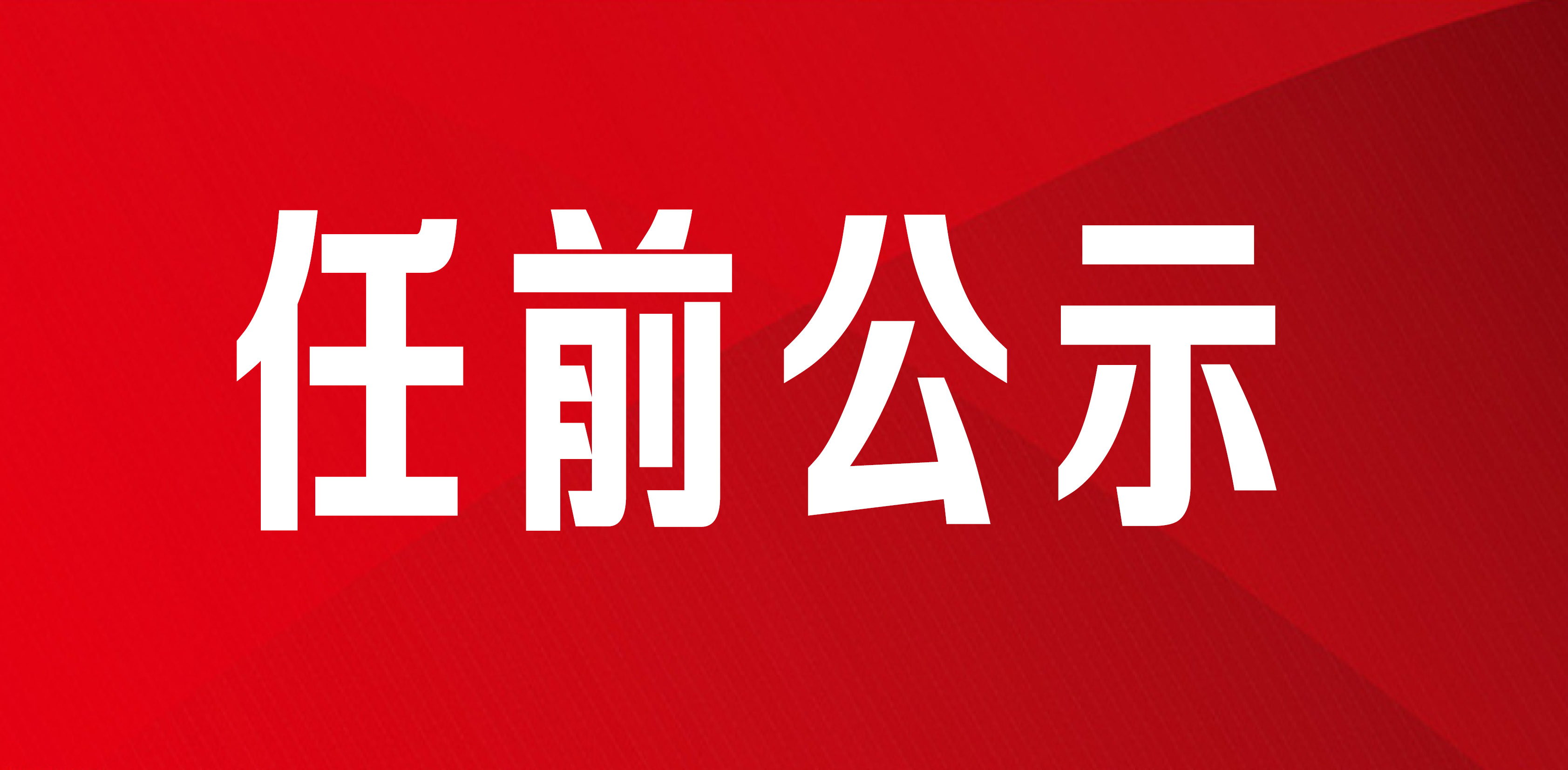 衡阳：干部任前公示公告