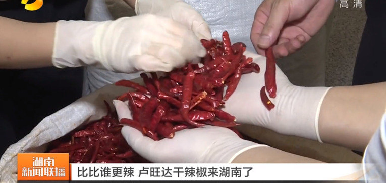 中国开始大批量进口非洲干辣椒 22吨卢旺达干辣椒抵长