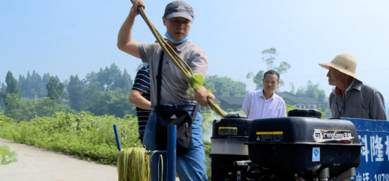 湖南成功研制直喂式苎麻剥麻机 生产率提高三成
