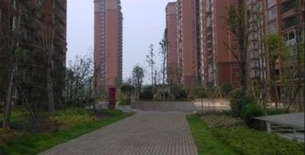 新年开局！1月长沙楼市预计40余项目开盘