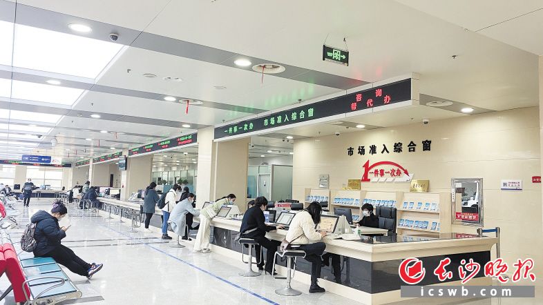 长沙市场主体总量已达137.93万户