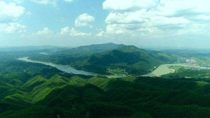 湖南五年精准提升森林质量107.5万亩，逐步解决全省人工林过密、过纯问题